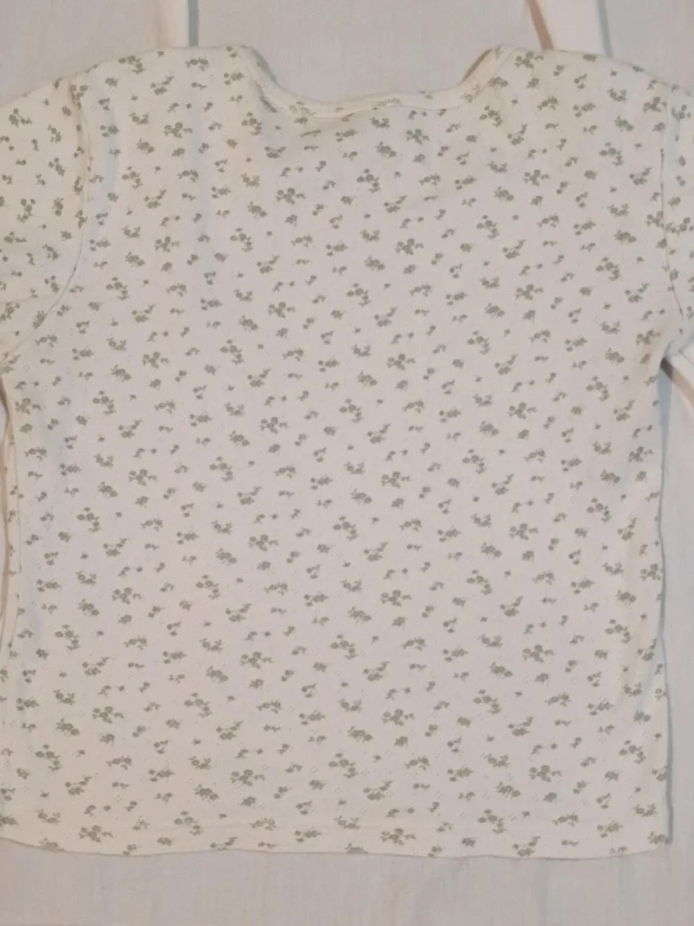 Brandy Melville/Baby Tee/Womens OS/Sage Green Ditsy Floral Crop Cottagecore Y2K